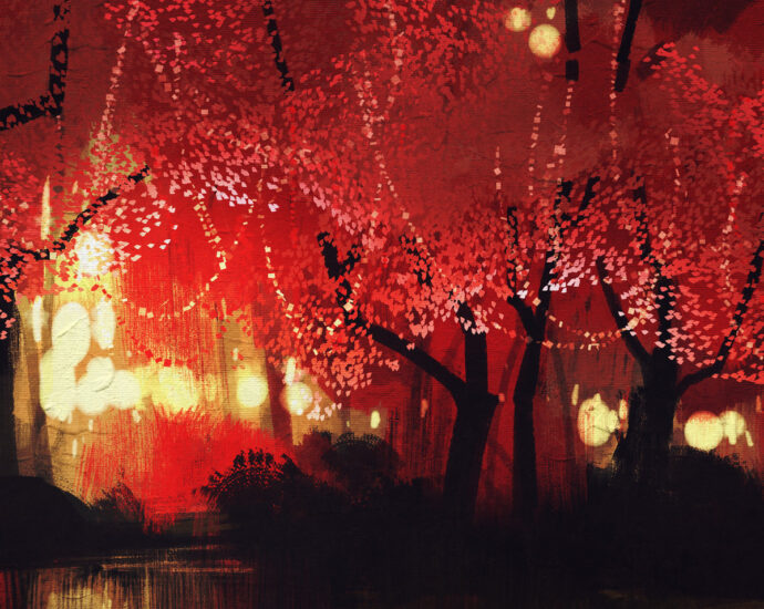 Mando 'Night Lanterns'